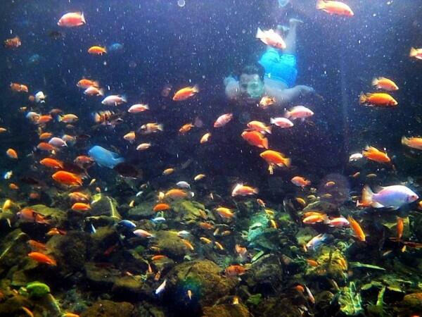 5 Spot Underwater Paling Kece di Malang, Instagramable Banget Lho!