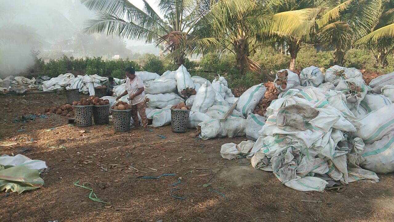 Cari pemodal dan buyer arang batok kelapa