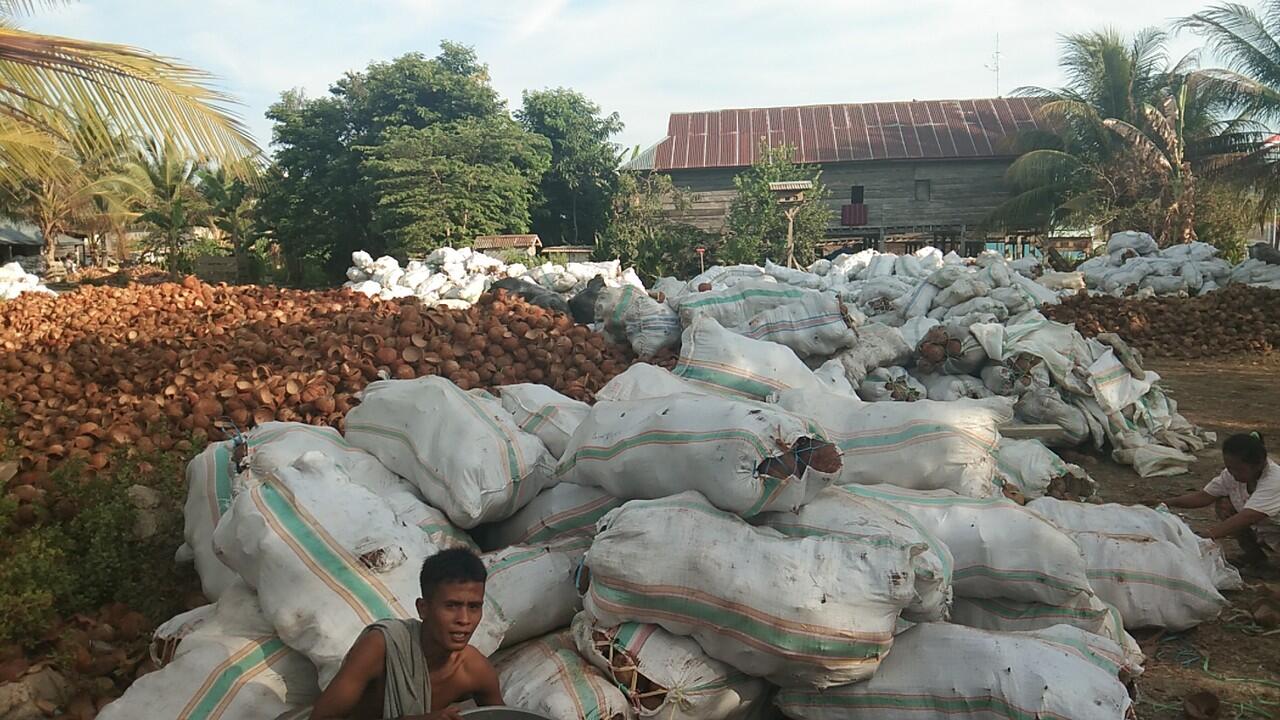 Cari pemodal dan buyer arang batok kelapa