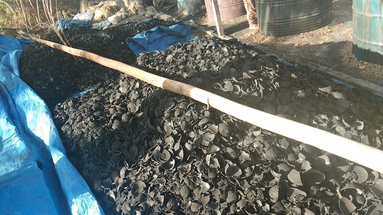 Cari pemodal dan buyer arang batok kelapa