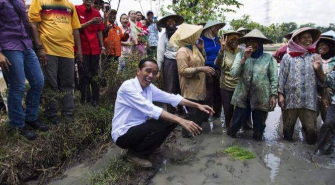 Sssttt... Ada yang Bisiki Jokowi saat ke Sawah, "Pak Awas, Becek"