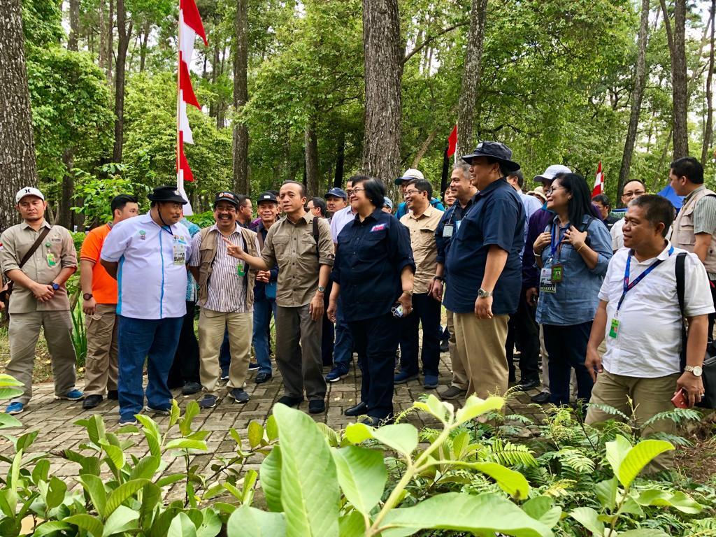 Besok, Masyarakat Sumsel Terima SK Perhutanan Sosial