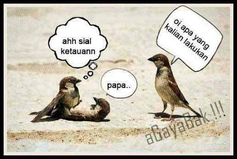 Cowok Matre Parasit