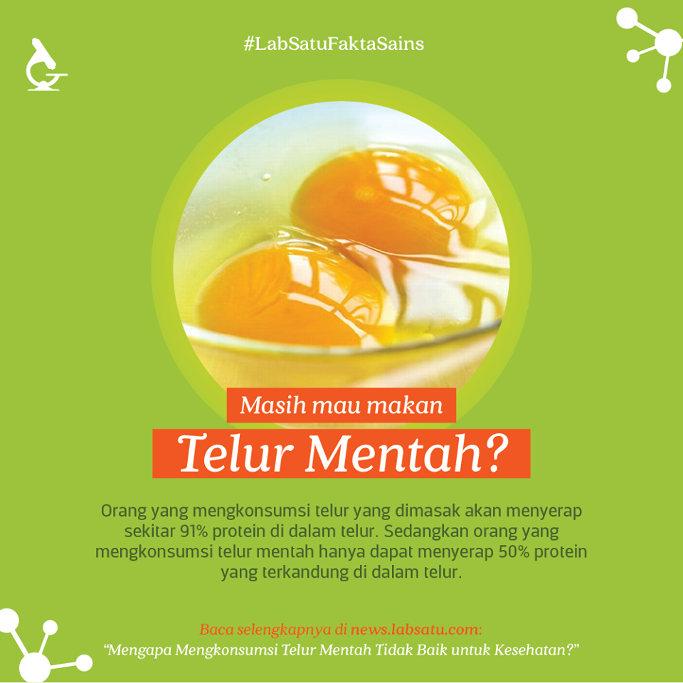 Doyan Makan Telur Mentah ? Patal gan