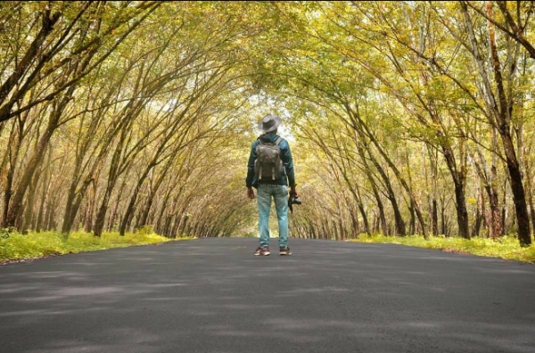 10 Wisata Hits di Lampung yang Wajib Dikunjungi, Kamu Sudah Pernah?