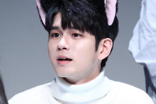 Ini Lho 5 Idol KPop yang Memiliki Wajah Kucing, Imut Banget!