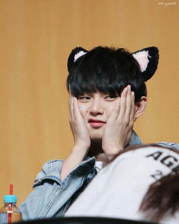 Ini Lho 5 Idol KPop yang Memiliki Wajah Kucing, Imut Banget!