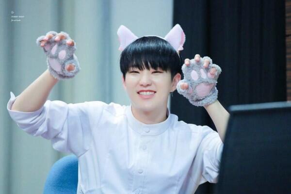 Ini Lho 5 Idol KPop yang Memiliki Wajah Kucing, Imut Banget!
