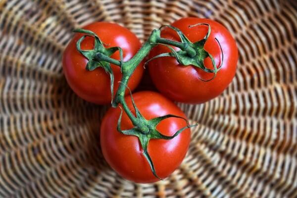 10 Cara Memutihkan Wajah dengan Bahan Alami, Gak Usah Suntik Vitamin C