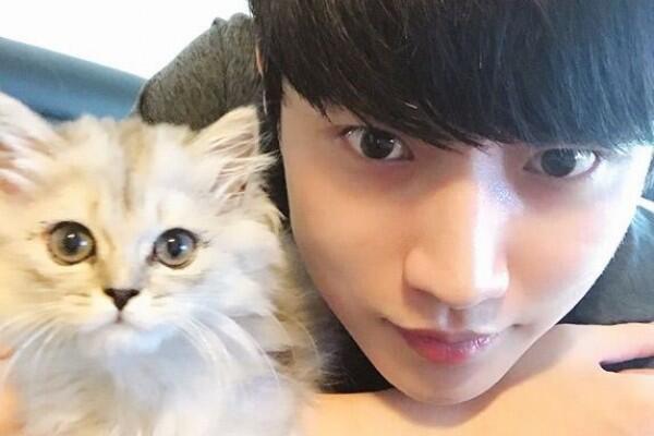 Manis Banget, Diam-diam 6 Idol KPop Ini Pelihara Kucing Lho