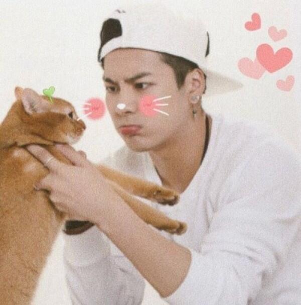 Manis Banget, Diam-diam 6 Idol KPop Ini Pelihara Kucing Lho