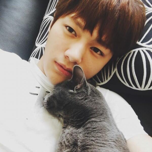 Manis Banget, Diam-diam 6 Idol KPop Ini Pelihara Kucing Lho