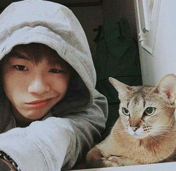 Manis Banget, Diam-diam 6 Idol KPop Ini Pelihara Kucing Lho