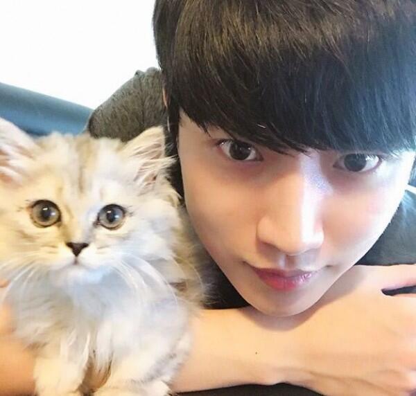 Manis Banget, Diam-diam 6 Idol KPop Ini Pelihara Kucing Lho