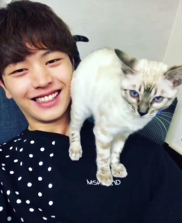 Manis Banget, Diam-diam 6 Idol KPop Ini Pelihara Kucing Lho