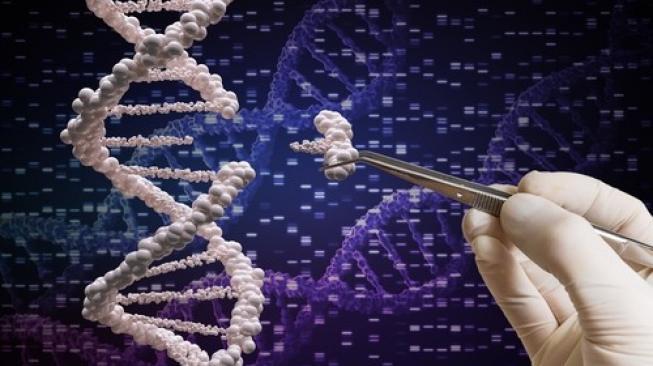 Ilmuwan China Berhasil Buat Bayi Kembar Tahan HIV Lewat Rekayasa Genetik