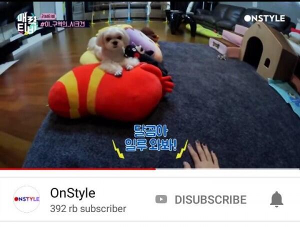 Punya Acara TV Sendiri, Intip Keseruan Lisa BLACKPINK!