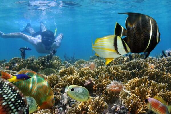 Bikin Betah Nyemplung! Ini 5 Spot Snorkeling Keren di Sulawesi Selatan