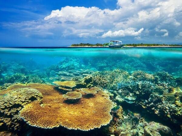 Bikin Betah Nyemplung! Ini 5 Spot Snorkeling Keren di Sulawesi Selatan