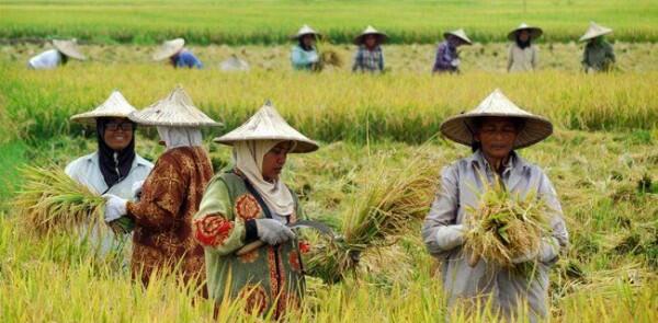 11 Pekerjaan yang Sebenarnya Penting, Tapi Sering Dianggap Remeh