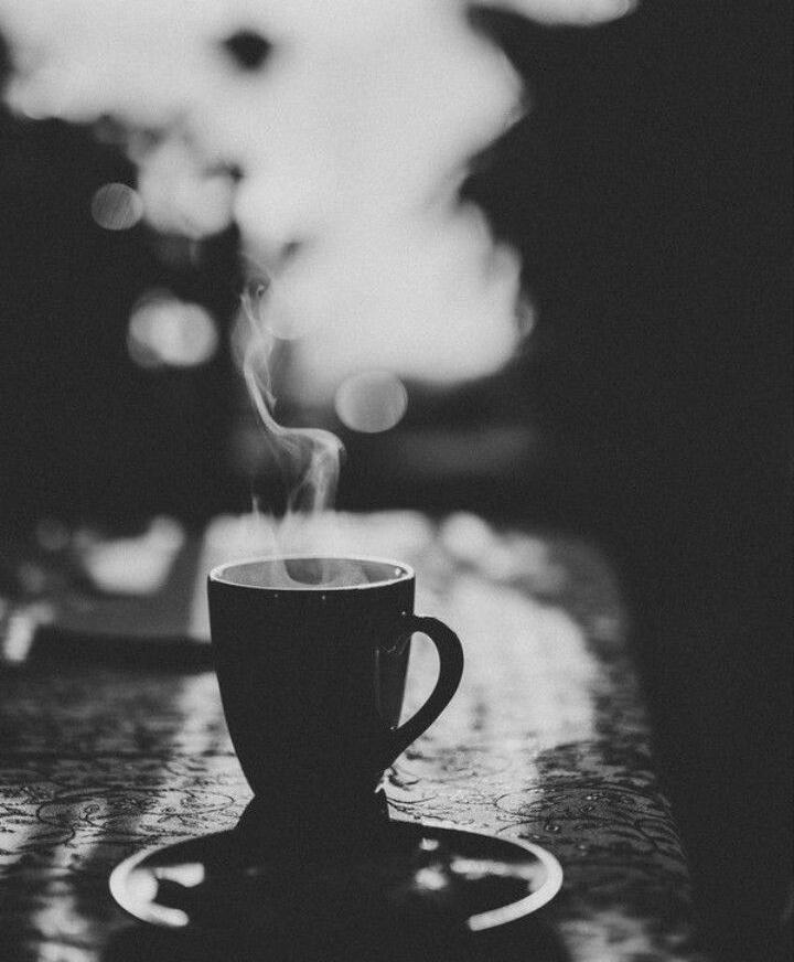 Kopi Oh Kopi
