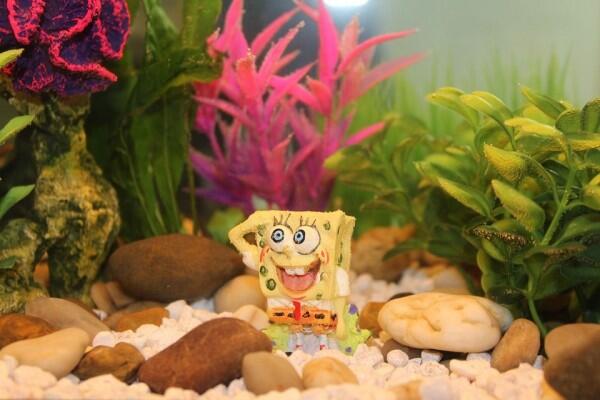 Stephen Hillenburg: Guru Biologi Pencipta Spongebob Squarepants