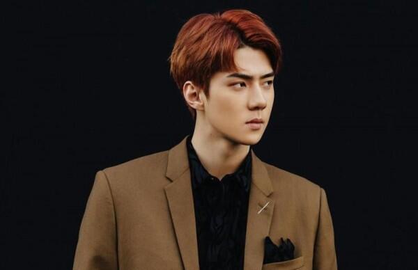 7 Idol & Aktor Korea Ini Paling Dikenal oleh Non-KPopers Indonesia