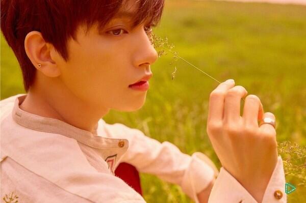 Punya Visual Rupawan, Ternyata 6 Idol KPop Ini Berasal dari Amerika