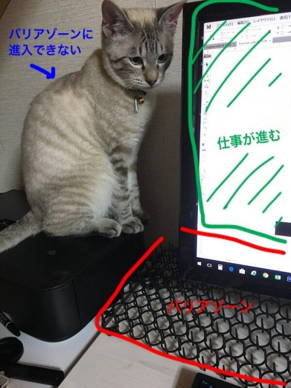 Keyboard Protector Ini Bikin Kamu Kerja Tenang Tanpa Diganggu Kucing