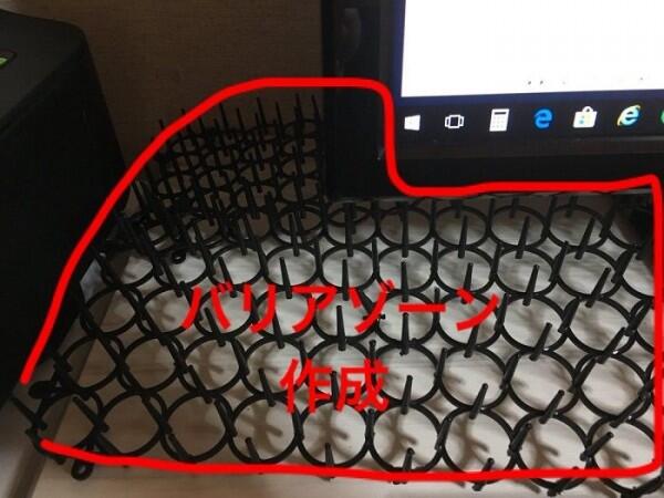 Keyboard Protector Ini Bikin Kamu Kerja Tenang Tanpa Diganggu Kucing