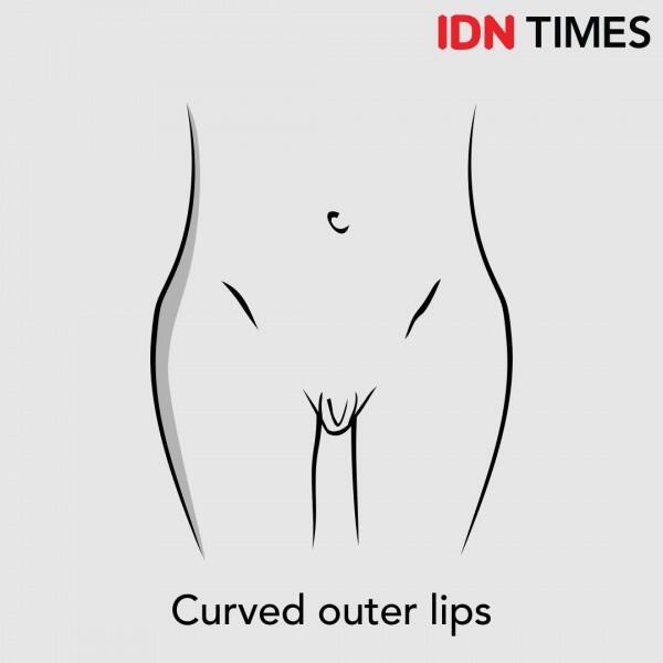 7 Ilustrasi Ini Menjelaskanmu Bahwa Alat Kelamin Wanita Berbeda Bentuk