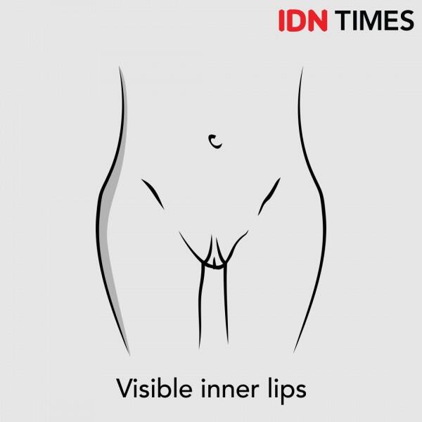 7 Ilustrasi Ini Menjelaskanmu Bahwa Alat Kelamin Wanita Berbeda Bentuk