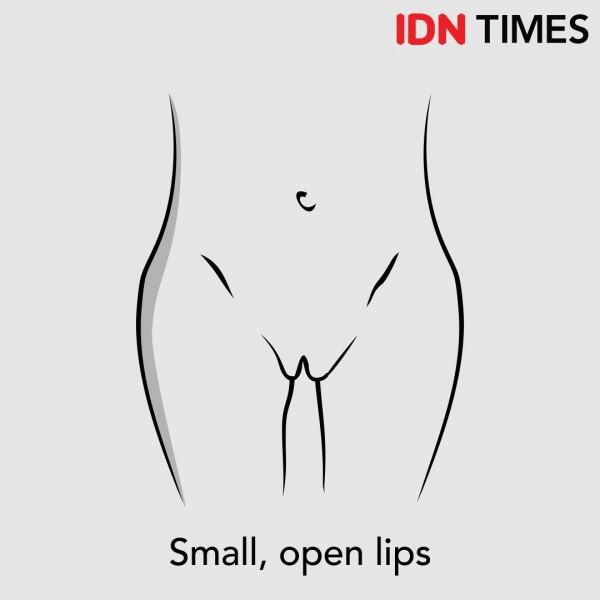 7 Ilustrasi Ini Menjelaskanmu Bahwa Alat Kelamin Wanita Berbeda Bentuk