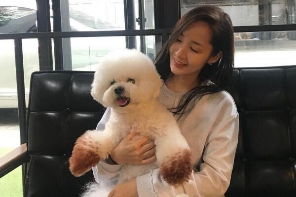 Keakraban Para Seleb Korea dengan Hewan Peliharaannya, Bikin Gemas!