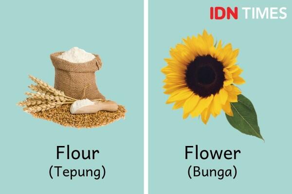 Hati-Hati, 10 Kata Homofon Bahasa Inggris Ini Sering Bikin Keliru
