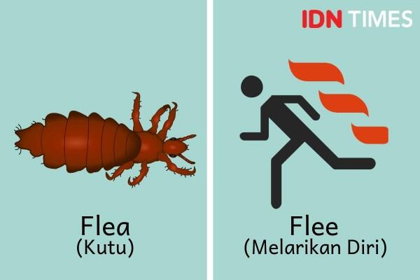 Hati-Hati, 10 Kata Homofon Bahasa Inggris Ini Sering Bikin Keliru