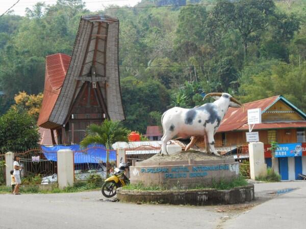 Inilah 5 Ikon Toraja Paling Kece dan Banyak Diminati Wisatawan