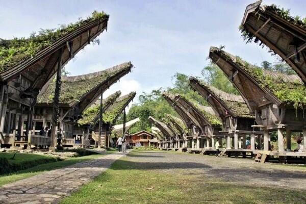 Inilah 5 Ikon Toraja Paling Kece dan Banyak Diminati Wisatawan