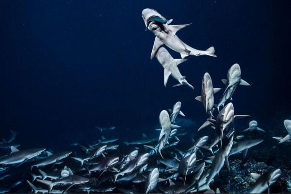 National Geographic Rilis Foto-foto Terbaik 2018, Ini 10 di Antaranya!