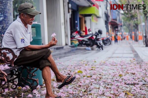 Bak Jepang, Ini 15 Potret Cantiknya Bunga Sakura ala Surabaya