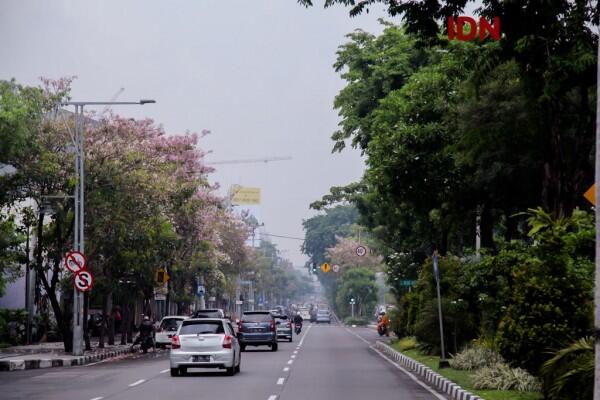 Bak Jepang, Ini 15 Potret Cantiknya Bunga Sakura ala Surabaya