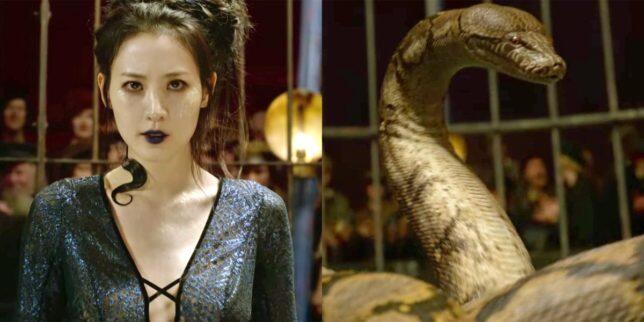Yang Perlu Dipertanyakan dari Film Fantastic Beasts: The Crimes Of Grindelwald