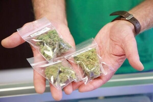 Korea Selatan Jadi Negara Pertama di Asia Timur yang Legalkan Ganja
