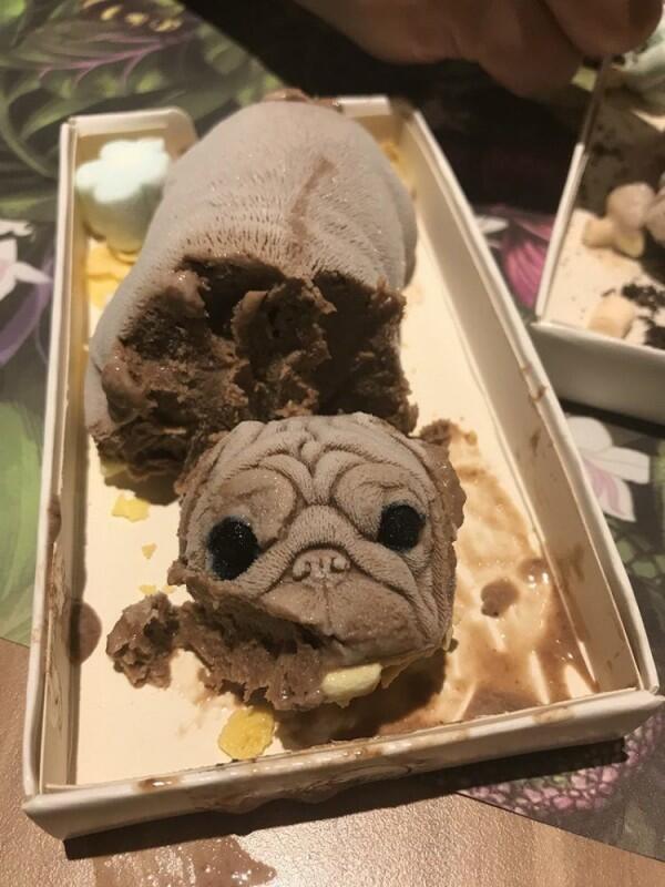 Nyeleneh, Ini Sensasi Mutilasi Hewan Kesayangan dalam Sebentuk Es Krim