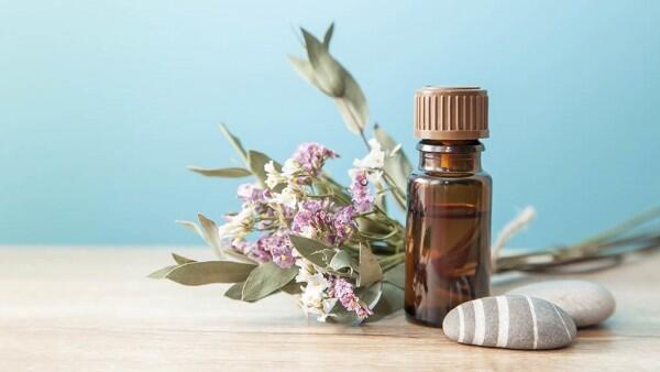 5 Alasan Kamu Perlu Mencoba Kosmetik yang Berasal dari Zat Organik