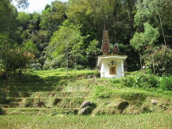 Unik tapi Sakral, Begini Penampakan 5 Kuburan Khas Toraja