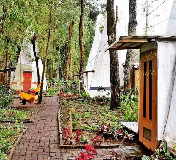 5 Homestay dengan Konsep Super Unik di Batu Malang, Dijamin Betah