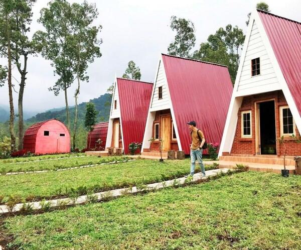 5 Homestay dengan Konsep Super Unik di Batu Malang, Dijamin Betah