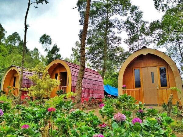 5 Homestay dengan Konsep Super Unik di Batu Malang, Dijamin Betah