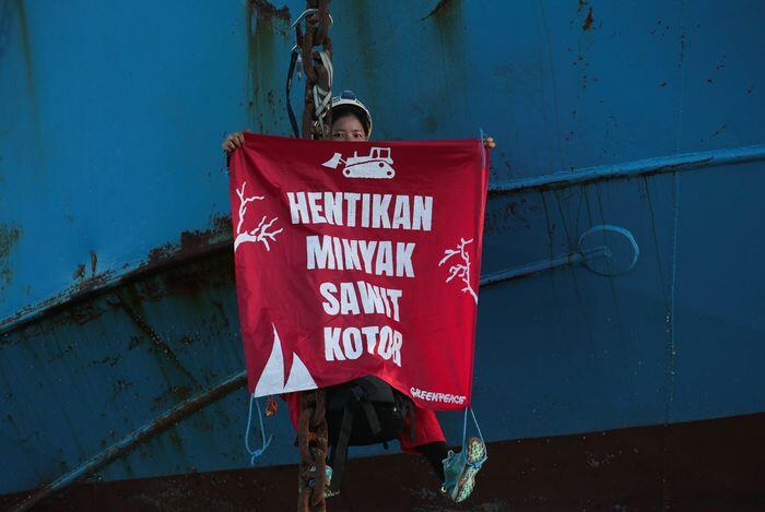 Prancis menolak boikot sawit Indonesia